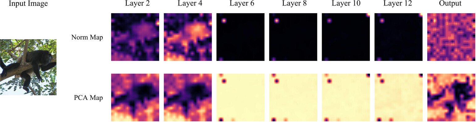 Outlier tokens in the SigLIP2-B encoder