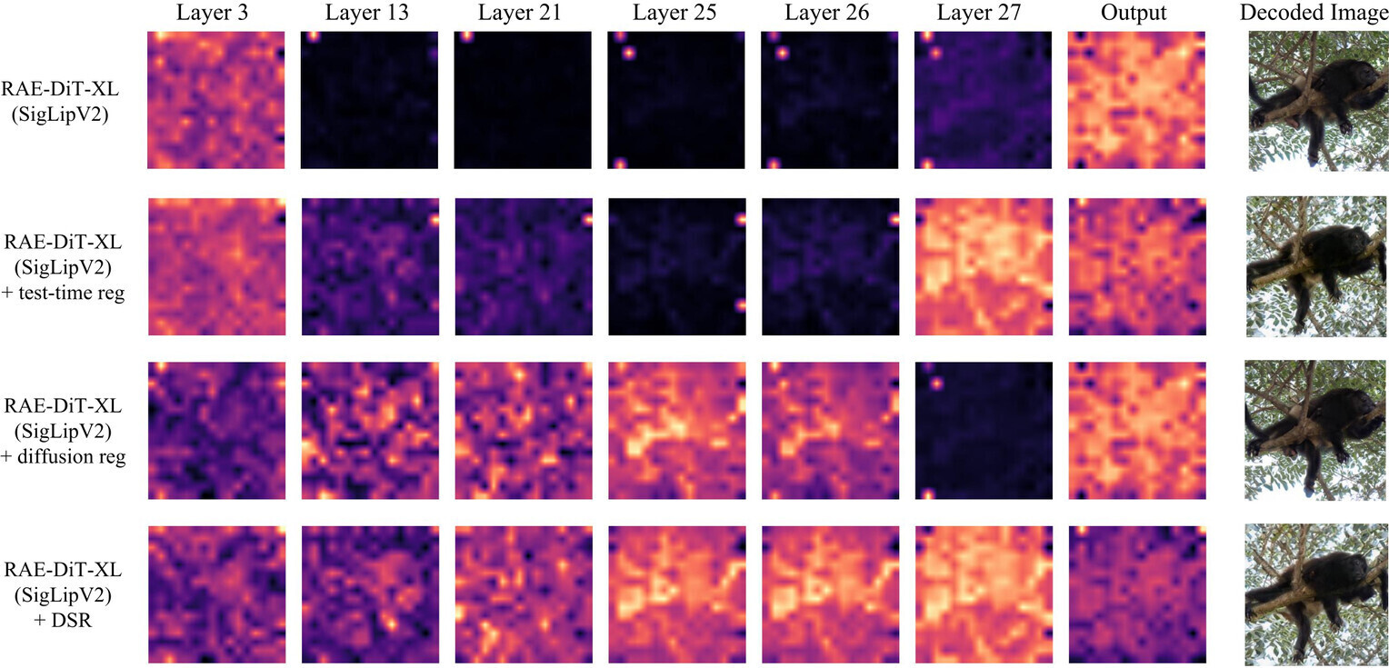 Norm maps for baseline, encoder-only DSR, and full DSR