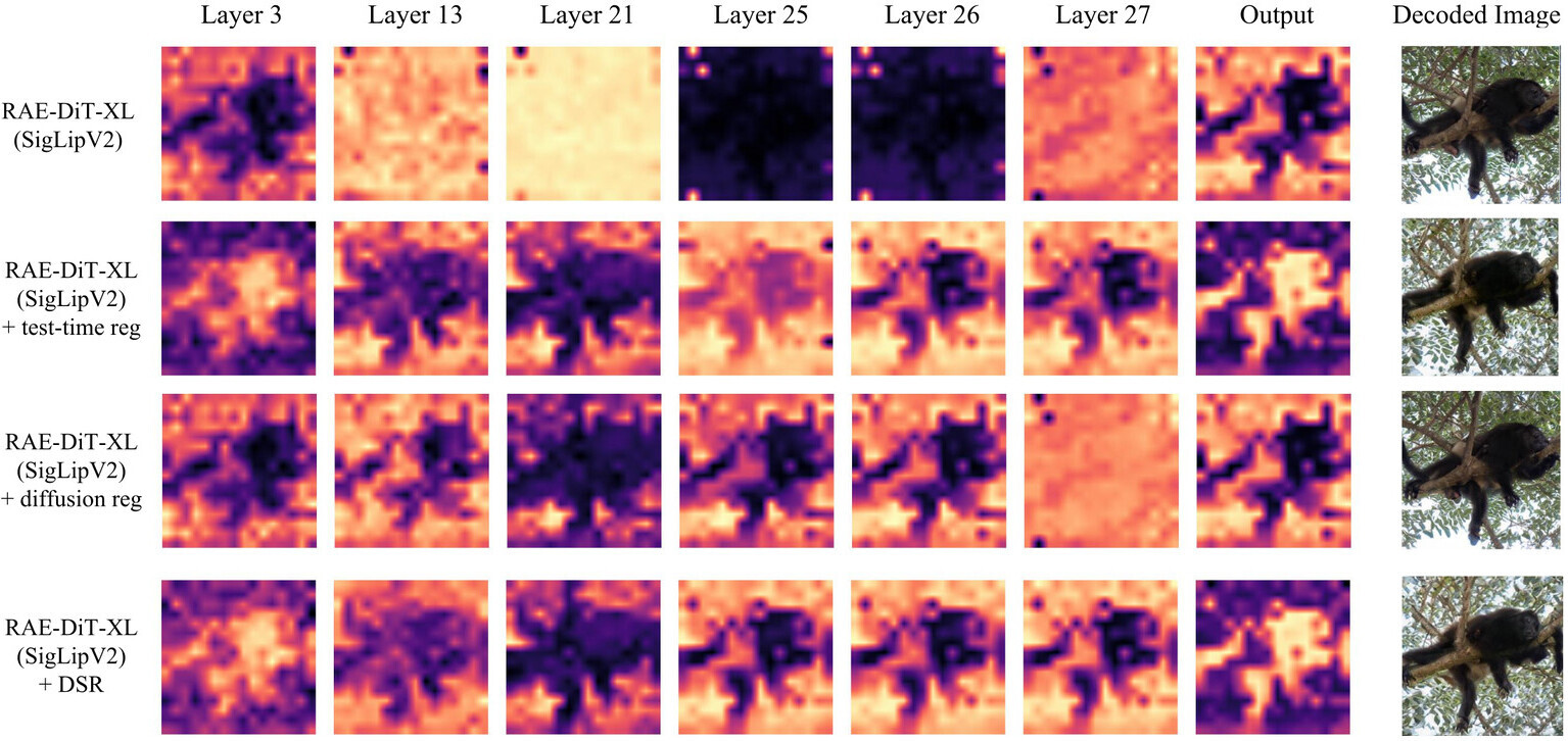 DSR PCA map visualization