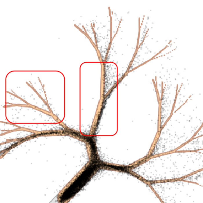 EMA 0.998 samples on the tree distribution