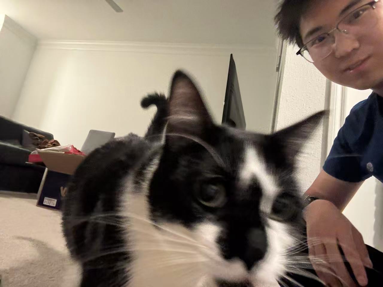 A black-and-white cat in the foreground of an indoor selfie