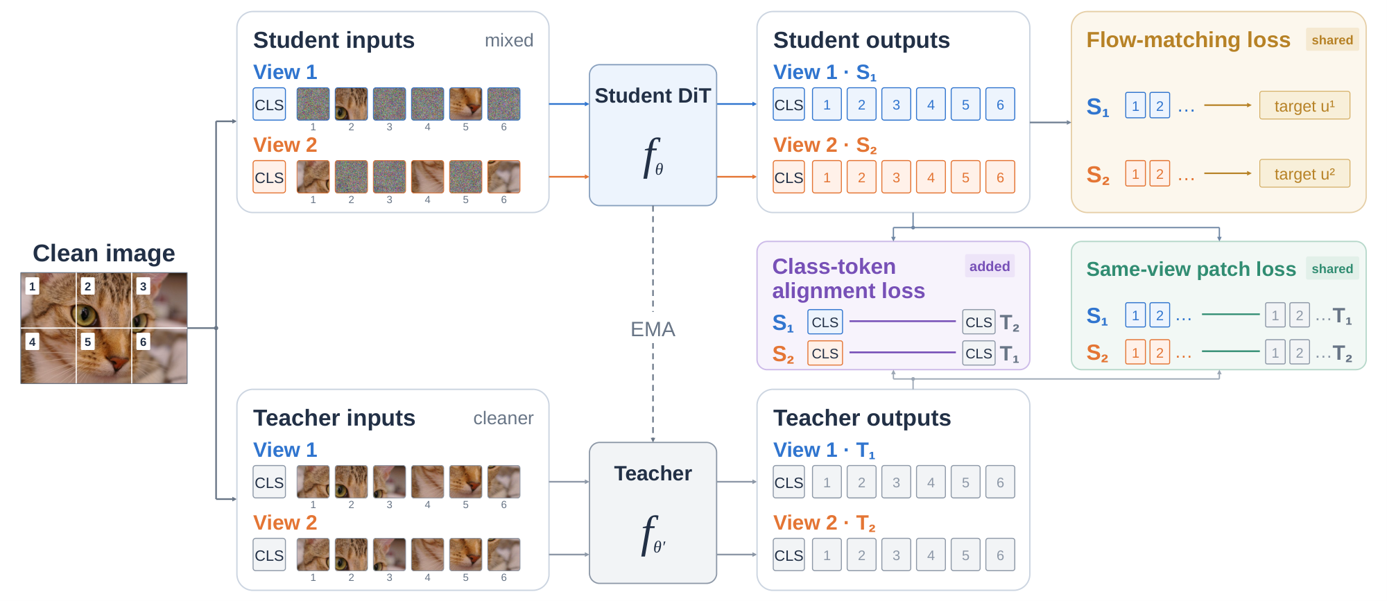 Training diagram showing class-token alignment between independently noised student and teacher views